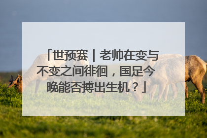 世预赛｜老帅在变与不变之间徘徊，国足今晚能否搏出生机？